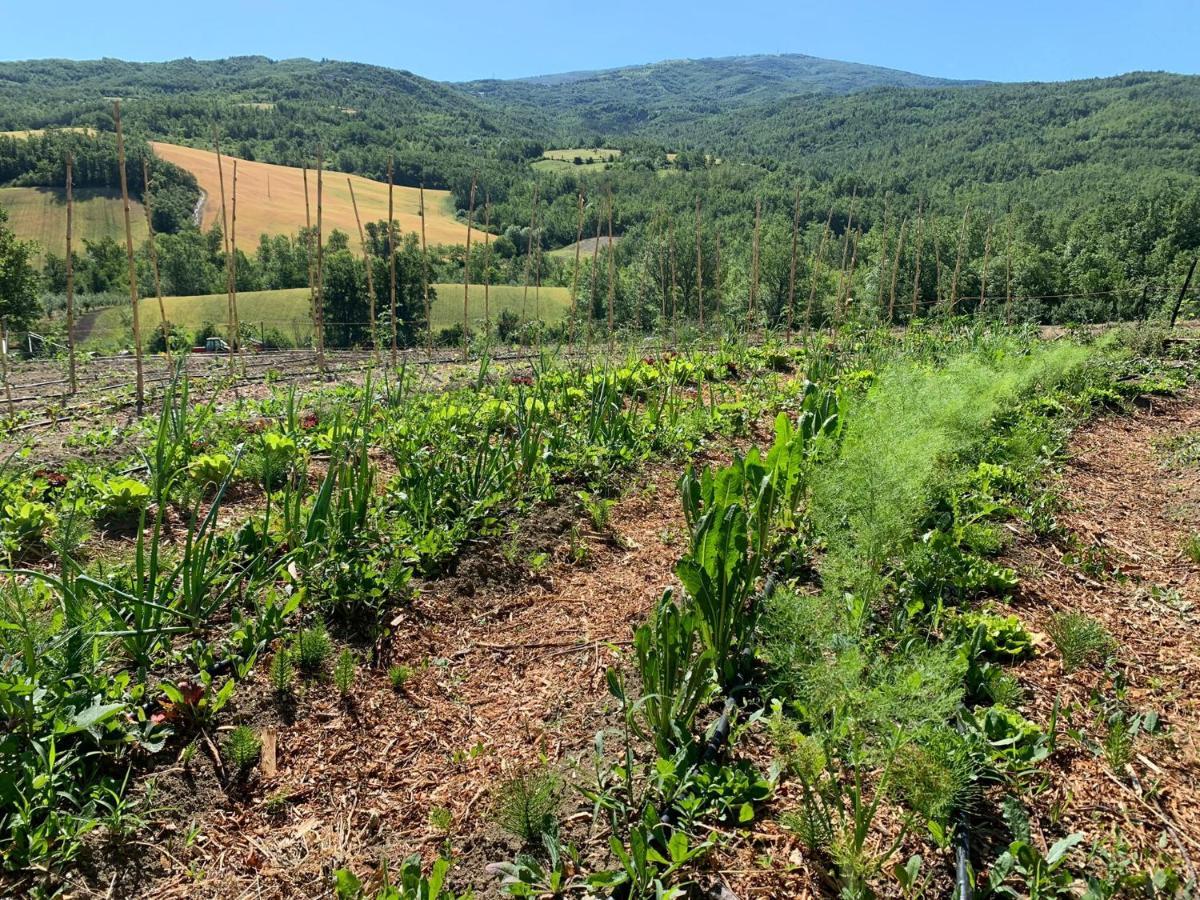 Nickland Villa San Sebastiano Curone Eksteriør billede