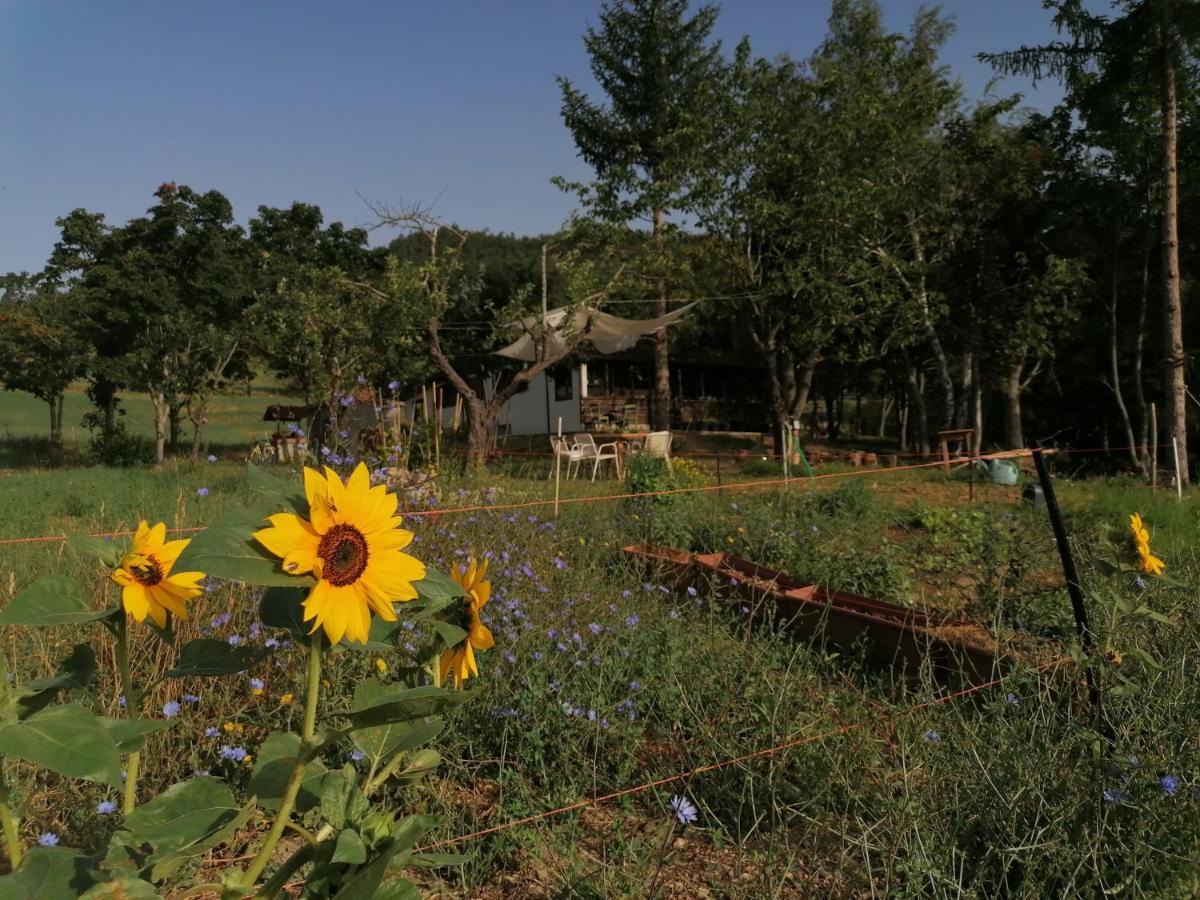 Nickland Villa San Sebastiano Curone Eksteriør billede