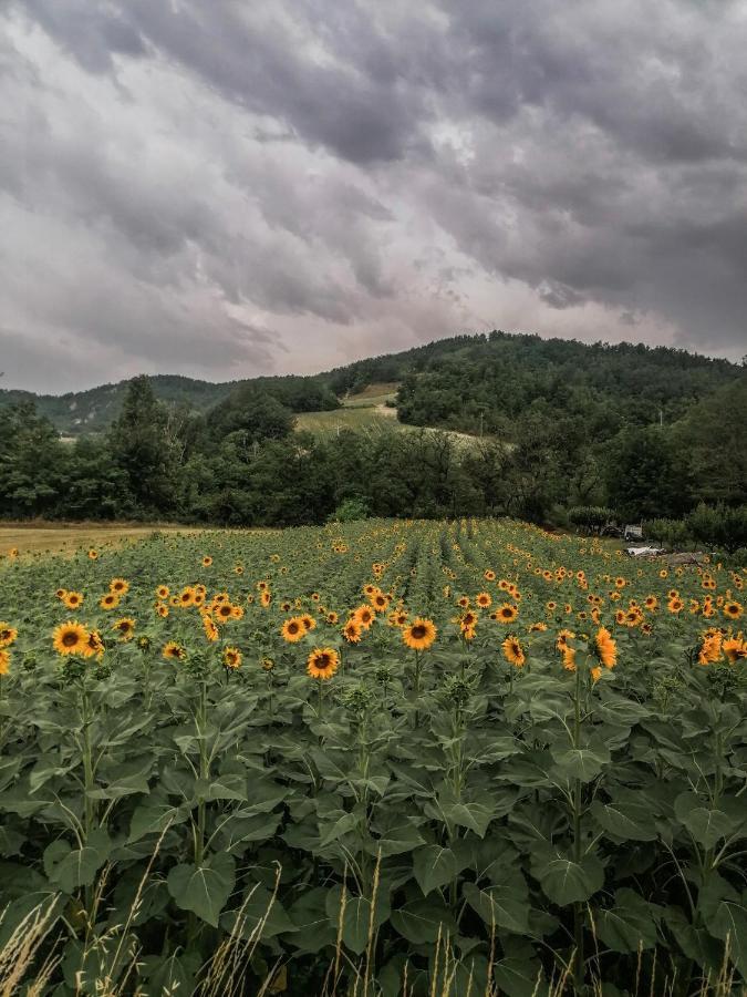 Nickland Villa San Sebastiano Curone Eksteriør billede